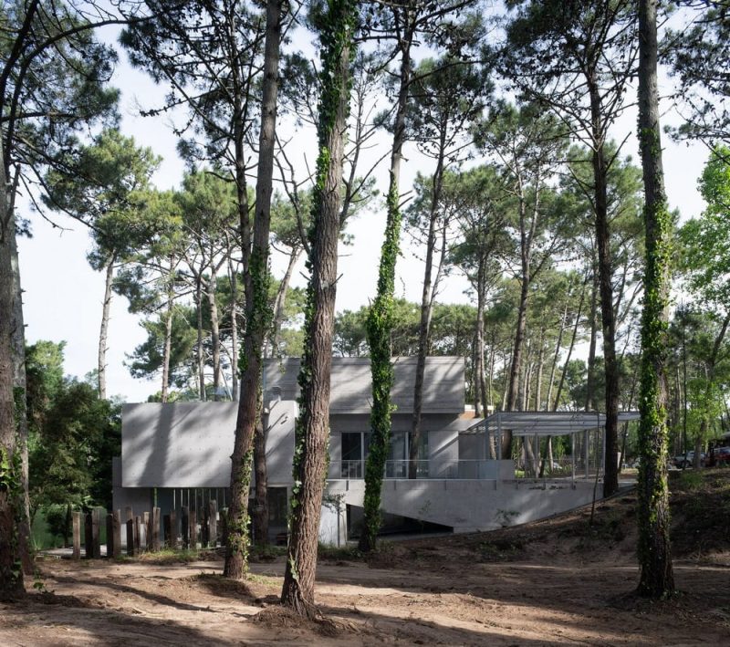 Choique House / Estudio Galera