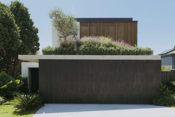 Little Birch House / buck&simple
