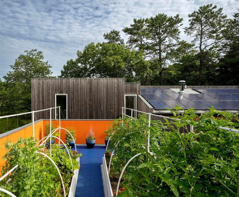 roof garden