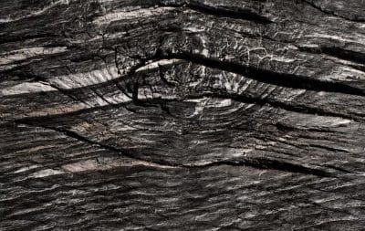 Why More Architects Are Choosing Charred Timber for Sustainable Projects