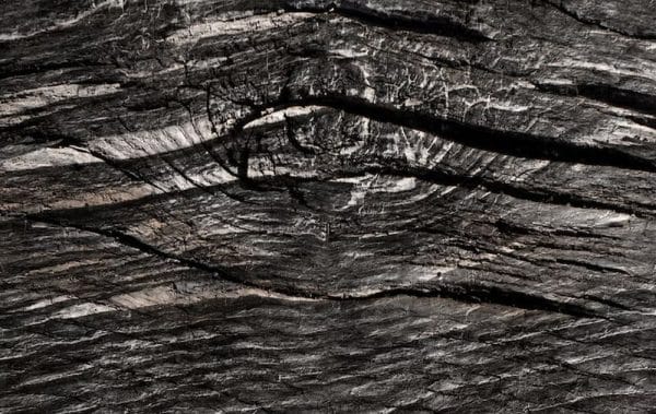 Why More Architects Are Choosing Charred Timber for Sustainable Projects