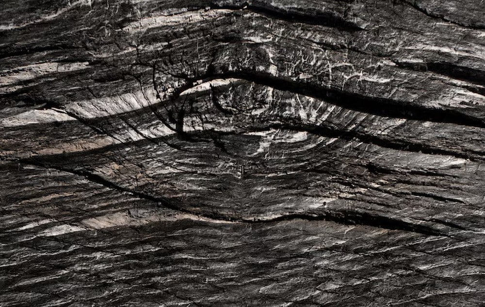 Why More Architects Are Choosing Charred Timber for Sustainable Projects