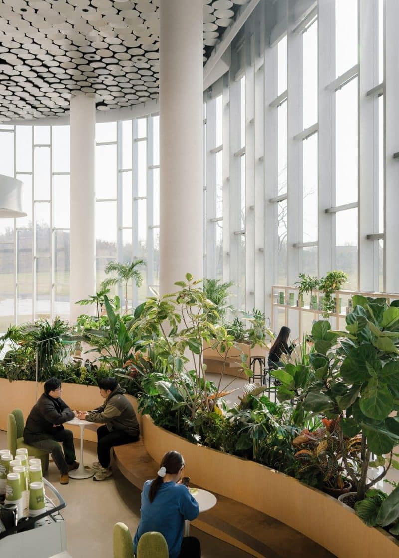 Jingle Jungle Creative Coffee / TSPACE Design