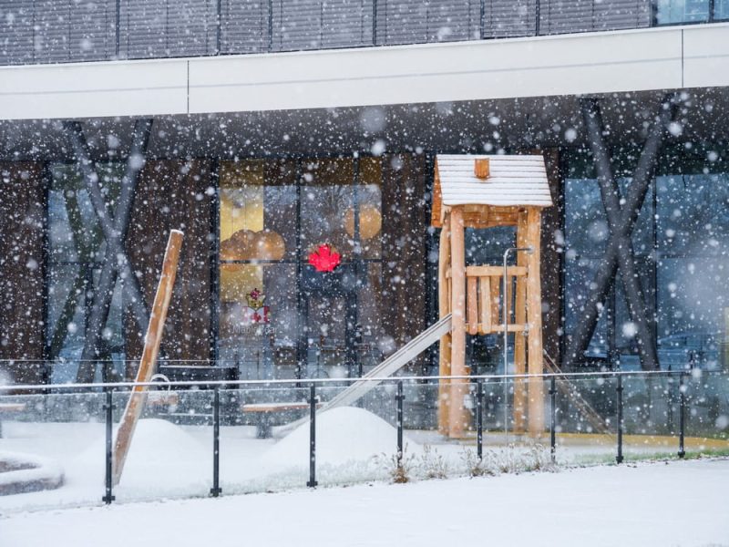 Maple Bear Schools Czechia | SOA architekti