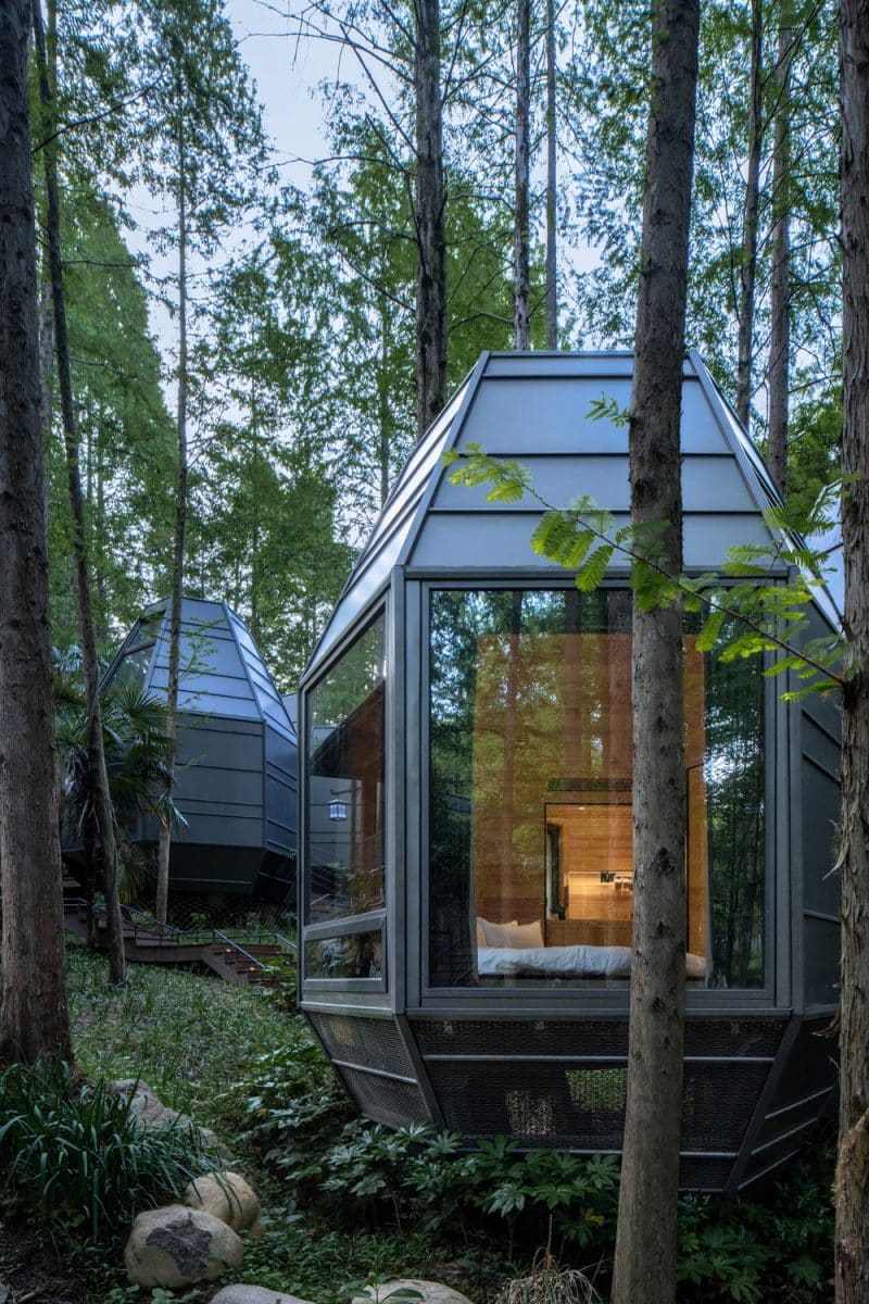 pinecone cabins