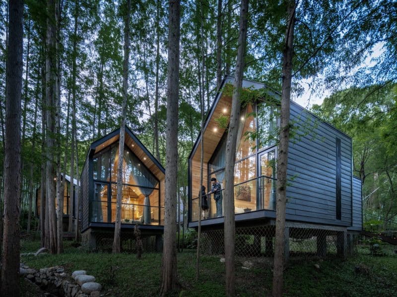 metasequoia wood cottage