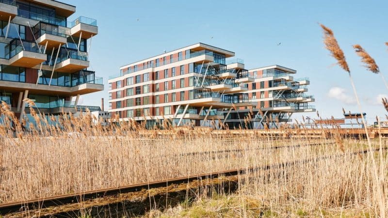 Noblessner Residences / KOKO Architects