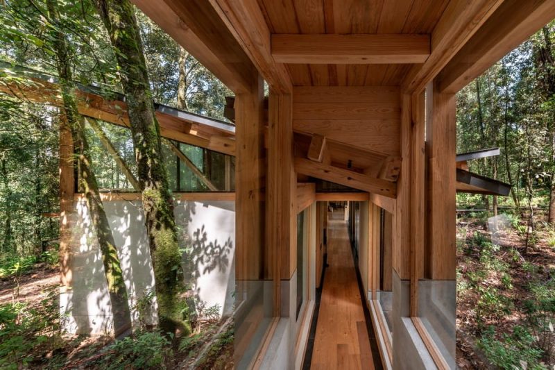 San Simón House / Vasconcelos Arquitectura