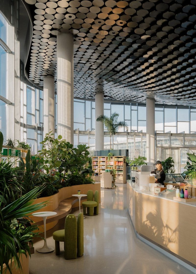 Jingle Jungle Creative Coffee / TSPACE Design
