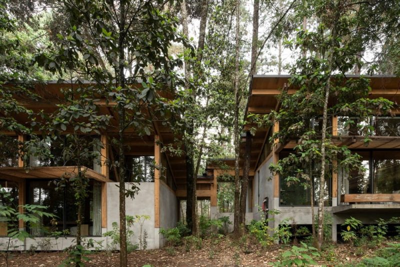San Simón House / Vasconcelos Arquitectura