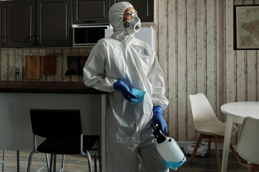 Why Every Beautiful Home Needs a Proactive Pest Plan
