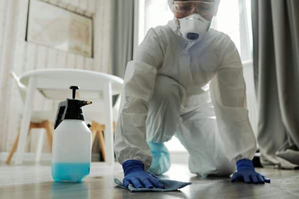 Why Every Beautiful Home Needs a Proactive Pest Plan