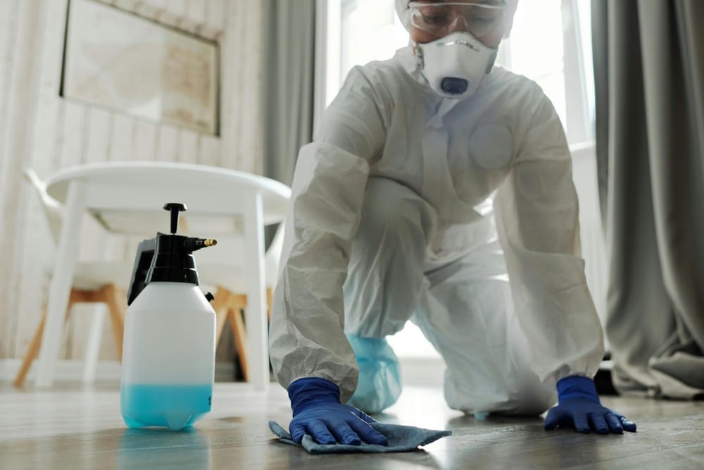 Why Every Beautiful Home Needs a Proactive Pest Plan