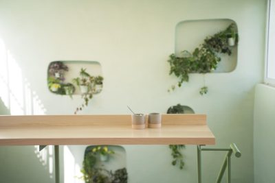 VERDIN Specialty Coffee Shop / OHIO Estudio
