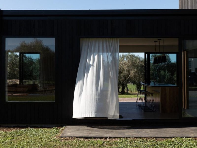 Olive Grove House / Young+Richards
