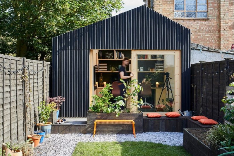 The Light Shed
