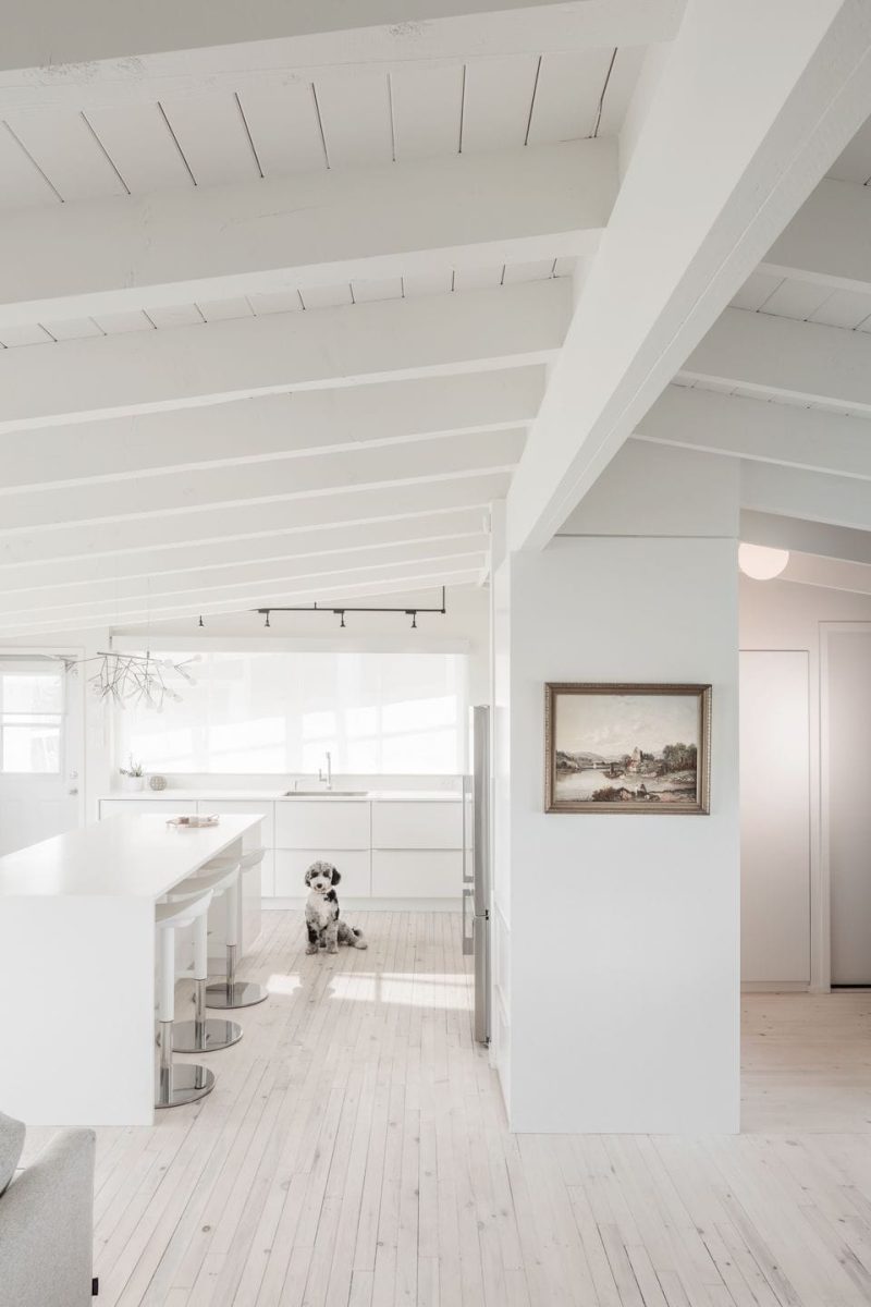 Harbour Cottage / REIGN Architects