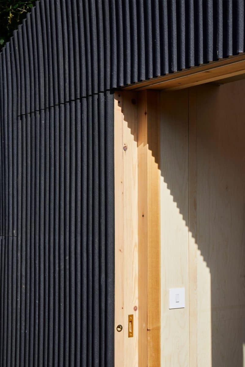 The Light Shed