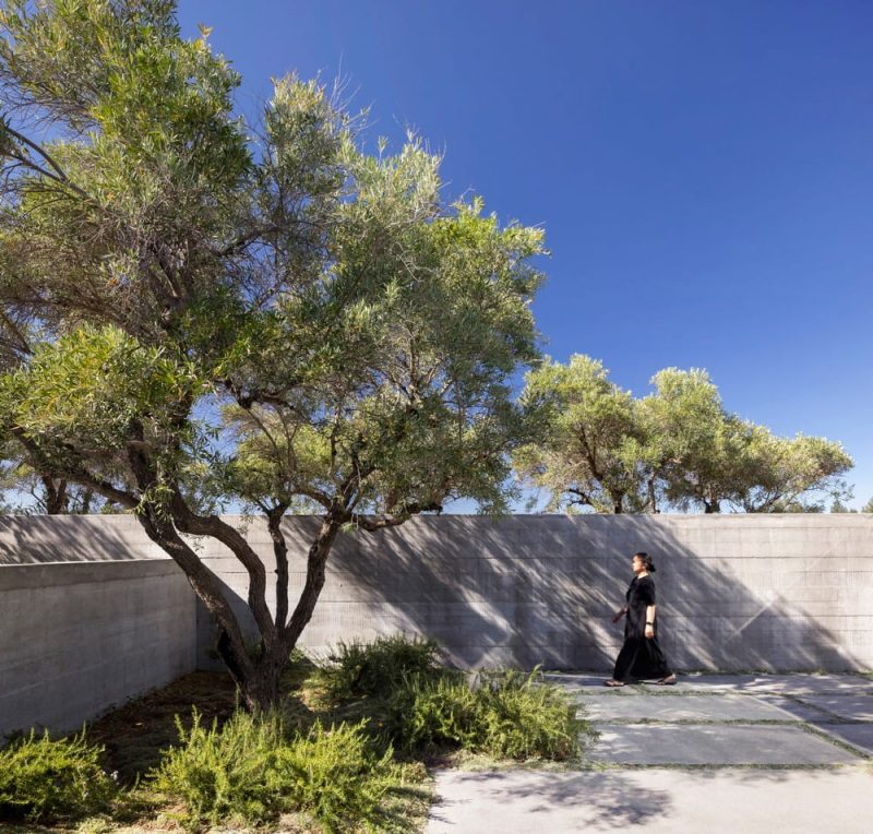 The Phoenix, a minimalist home in Healdsburg, California by Feldman Architecture