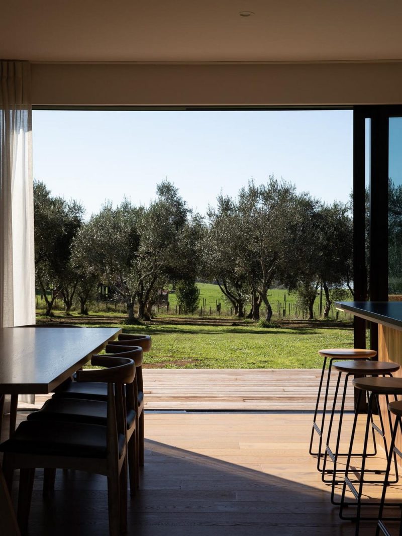 Olive Grove House / Young+Richards