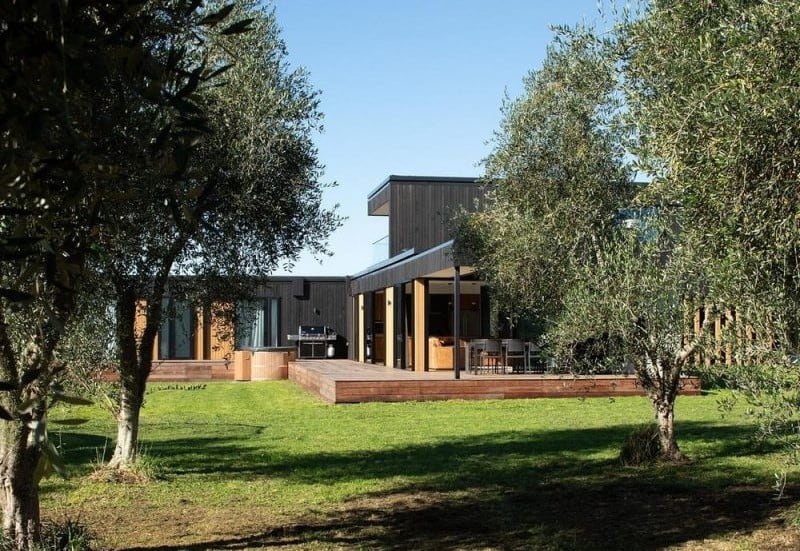 Olive Grove House / Young+Richards