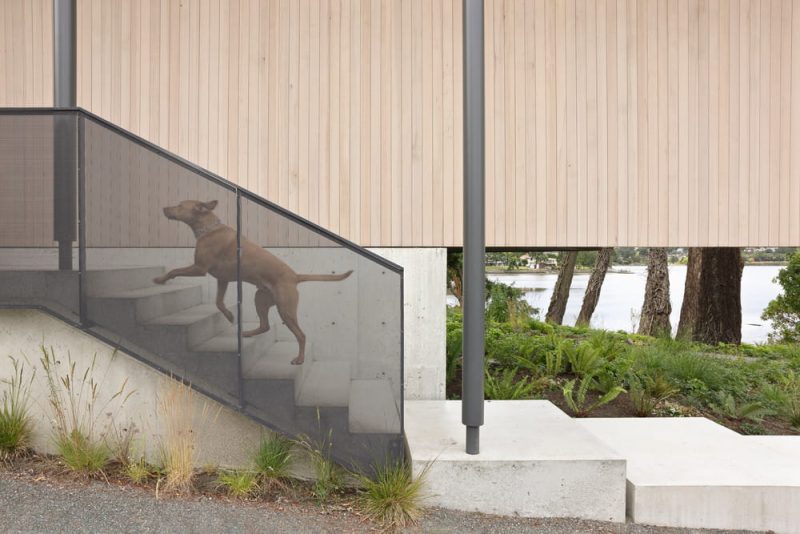 Shoreline House / Splyce Design