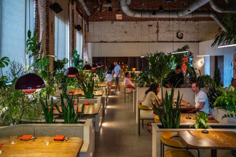 Cushing Terrell designs Amano, a modern Mexican Restaurant