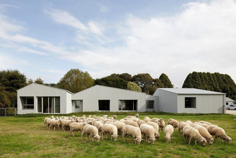 Shady Creek Farm House / MRTN Architects