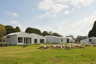 Shady Creek Farm House / MRTN Architects