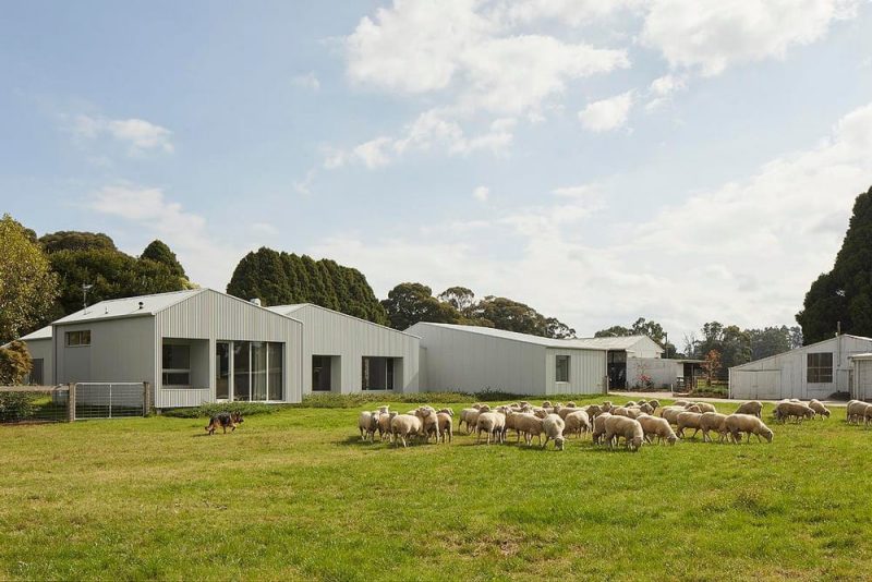 Shady Creek Farm House / MRTN Architects