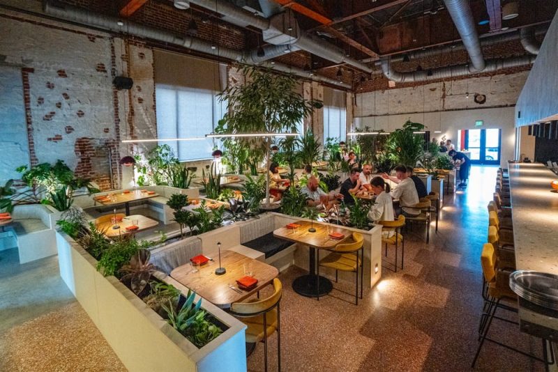 Cushing Terrell designs Amano, a modern Mexican Restaurant