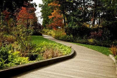 What's the Most Common Landscape Design Mistake