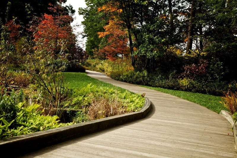 What's the Most Common Landscape Design Mistake