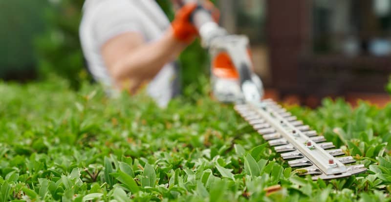 Creative Landscaping Ideas for Your Yard as a Homeowner