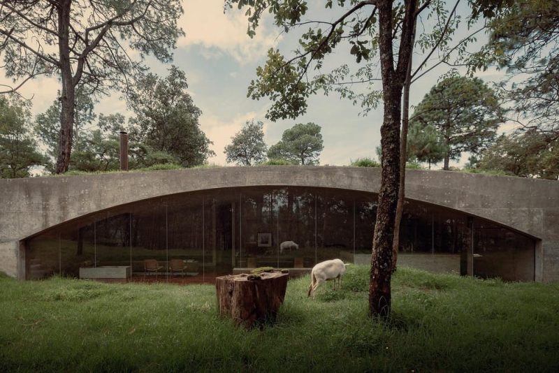 Concrete House with Green Roof / HW Studio