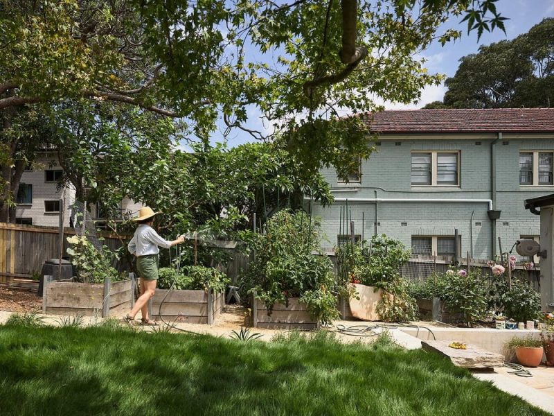garden