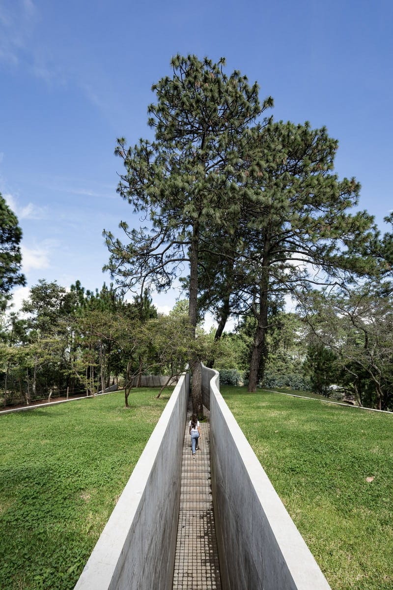 Concrete House with Green Roof / HW Studio