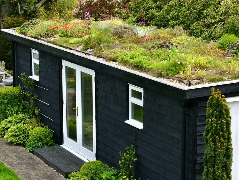 Green Roofs: Bringing Nature into Modern Home Design