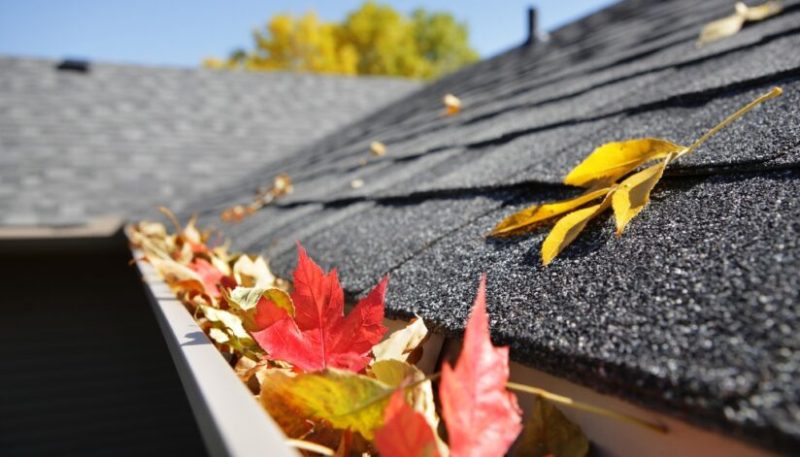 Winter to Summer: Seasonal Roof Care Tips for Peace of Mind