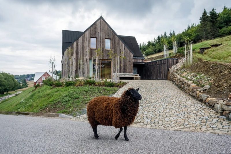 Horní Malá Úpa Mountain Chalet / OK PLAN ARCHITECTS