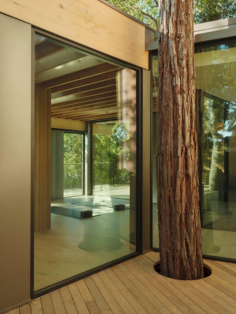 Pavilion in the Oaks / Mork-Ulnes Architects