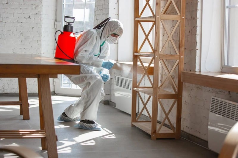 The Role of Pest Control in Selling Commercial and Residential Properties