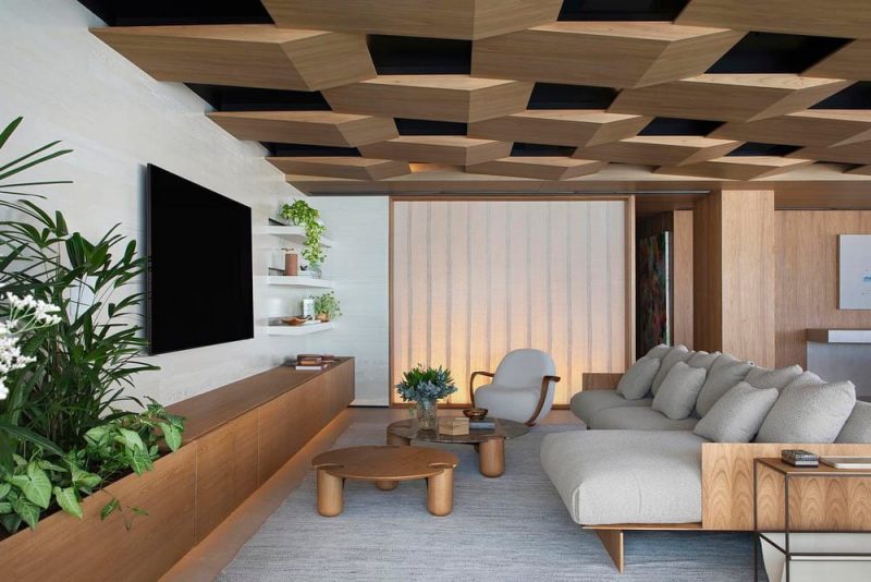 tv area