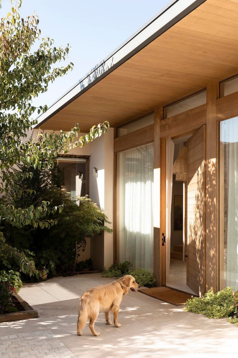 Smoke bush House / ELC Architecture and Interiors