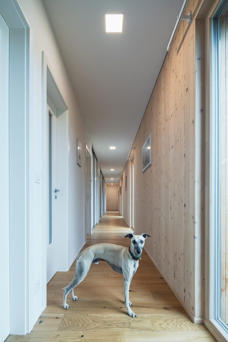 hall
